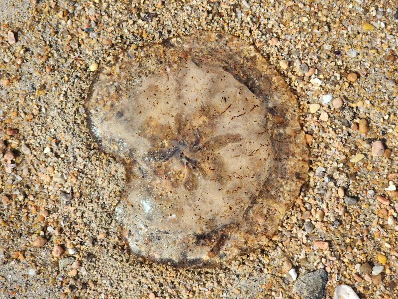 other