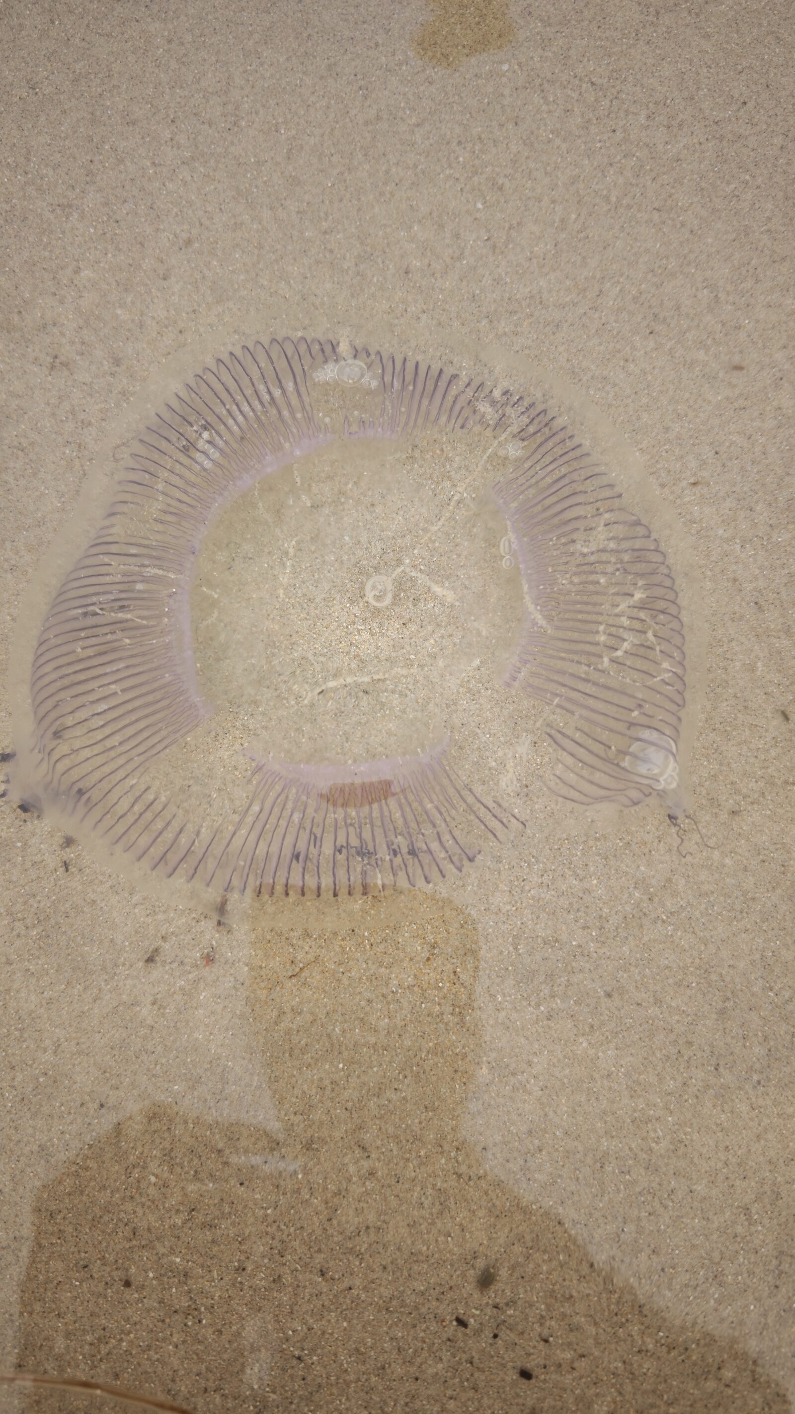 other